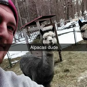 Meet your Posher, Scott